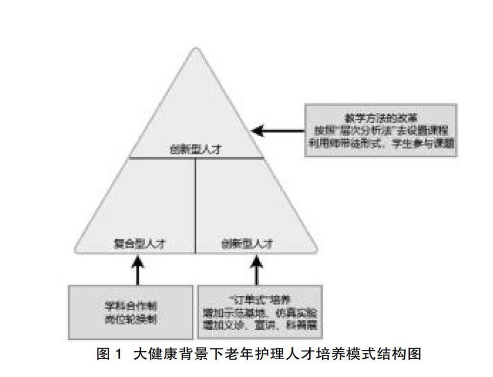 提出老年护理人才培养的主要培养模式及实施策略,并构建多元化的人才