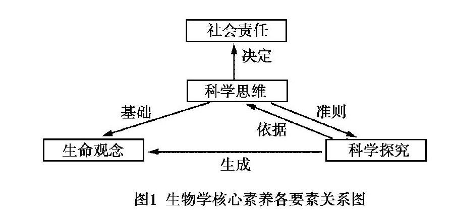 七年级生物上册教案_初中生物教案下载_初中信息技术教案 下载