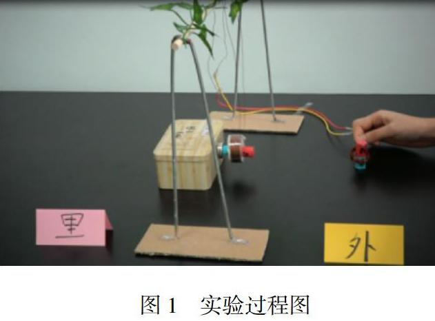 初中物理试讲万能模板_初中物理试讲教案模板_初中语文试讲教案模板