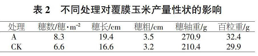 郑新娟