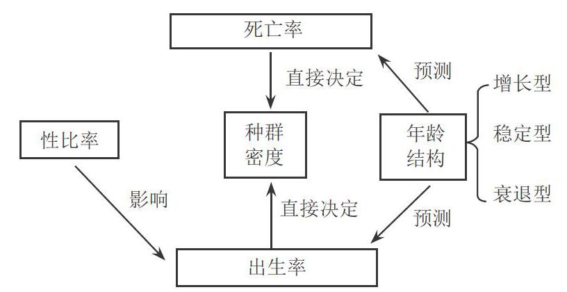 以人口政策为情境展开"种群的特征"一课的教学设计