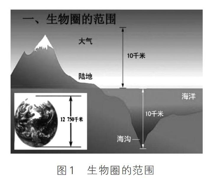 初一生物教案下载_初一生物上册教案_人教版初一生物教案