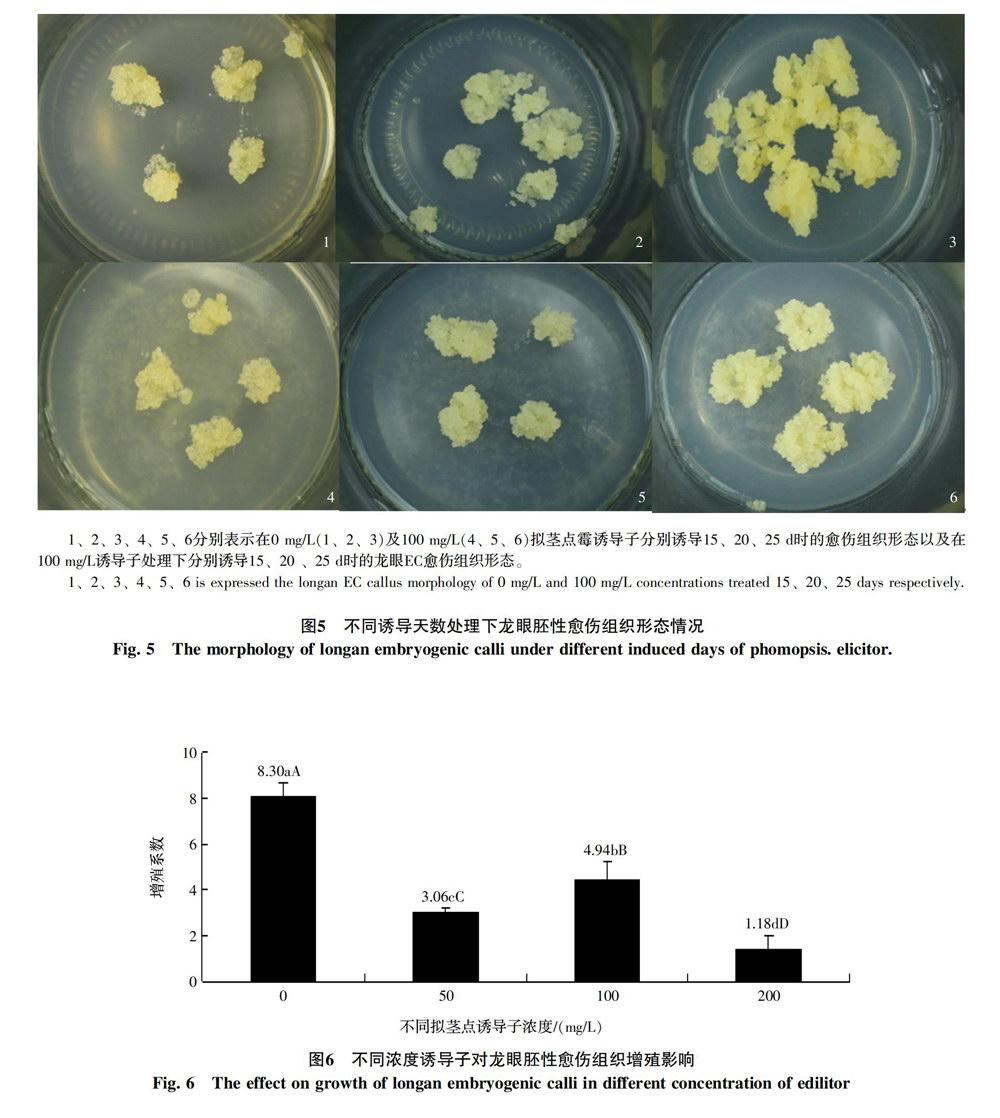 真菌诱导子对龙眼胚性愈伤组织生长和多糖积累的影响