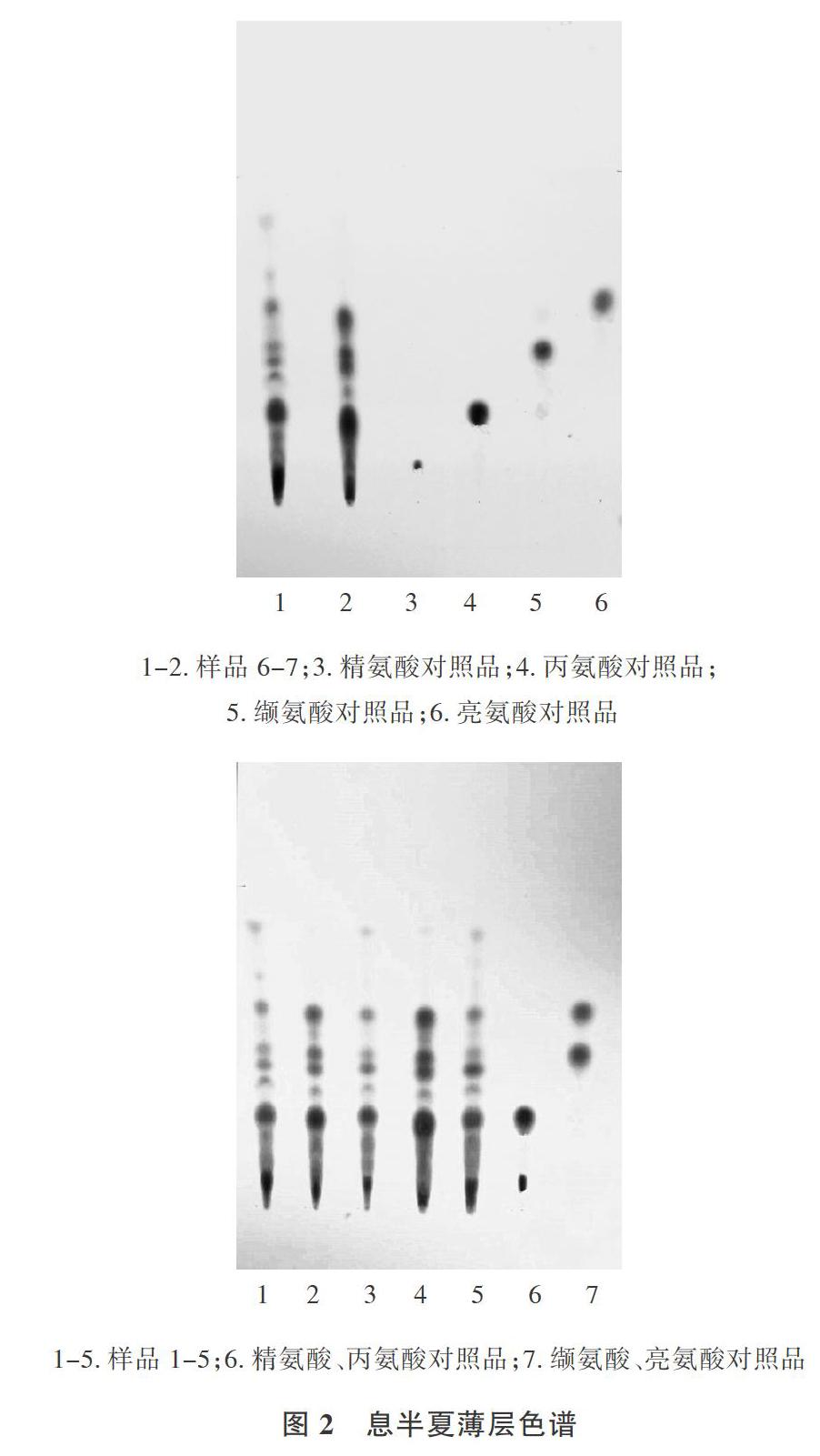 结果表明,7个采样点息半夏粉末显微特征,薄层色谱一致;但性状,水分,总