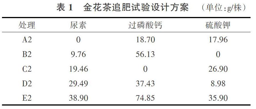 柴胜丰 唐健民 邹蓉 韦记青 唐辉