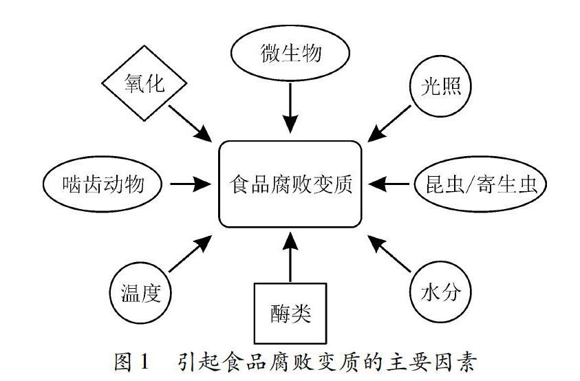 孟德尔发现的遗传定律_汉水丑生 孟德尔遗传定律_孟德尔遗传定律教案范文