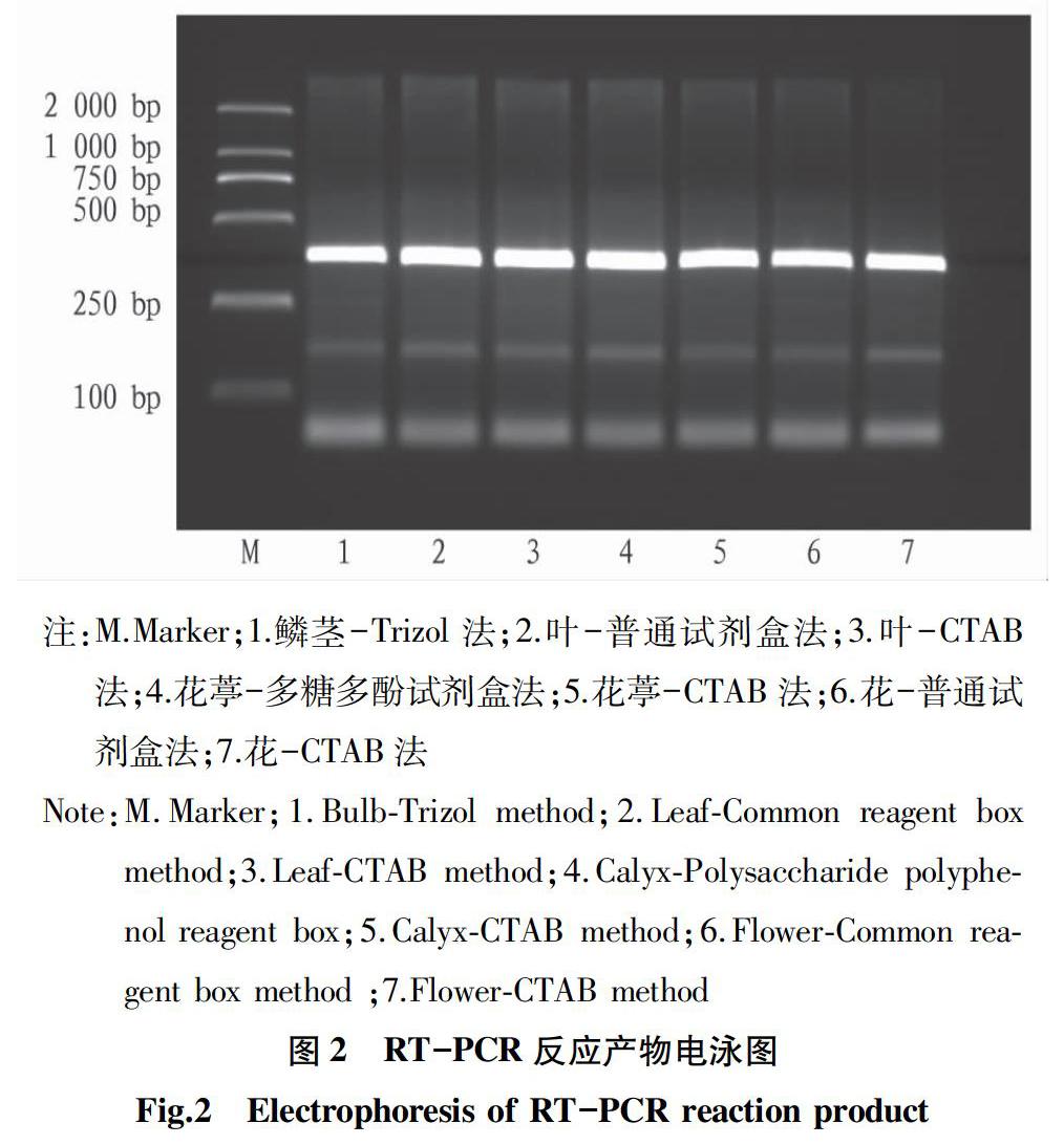 忽地笑不同器官rna提取方法比较研究