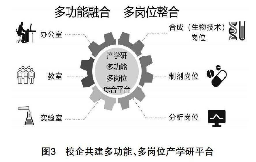 职教集团视域下药学专业人才培养模式研究