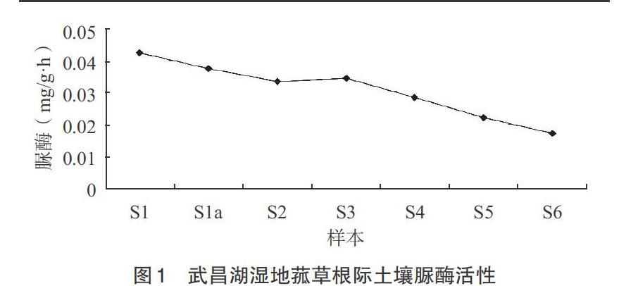 退化湿地土壤酶活性分析