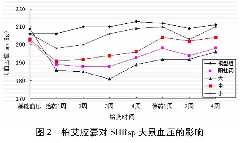 柏艾胶囊对不同类型高血压模型降压作用的研究