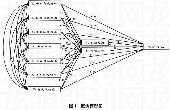 青少年射击运动员"choking"心理机制模型建构