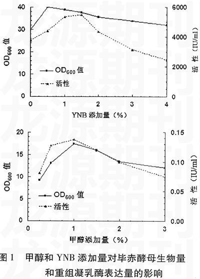 重组凝乳酶摇瓶发酵条件的初步优化研究