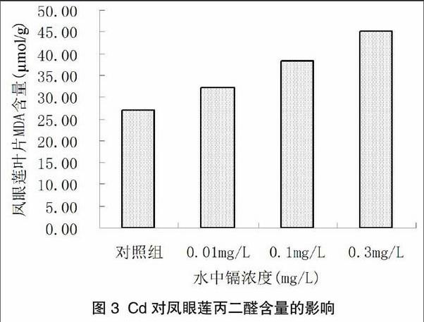 鎘汙染對鳳眼蓮生長和生理生化指標的影響