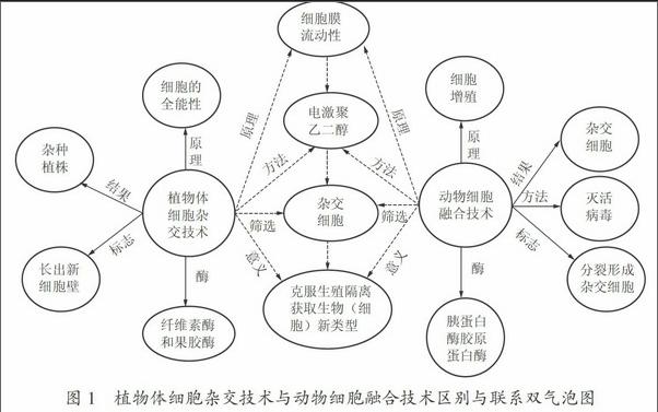 下列各图表示单克隆抗体制备过程的各阶段图解 结合图解按要求回答问题 1 请用箭头把代表各图解的字母按单克隆抗体制备过程的顺序连接起来 顺序 高中二年级 生物试题 单克隆抗体考点 好技网