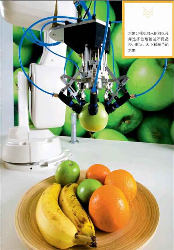 当机器人会分拣水果