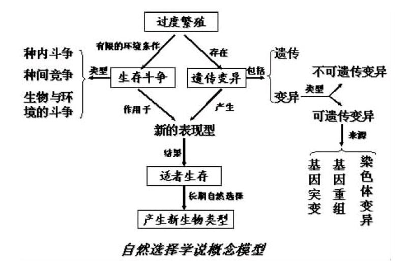 自然选择学说思维导图图片