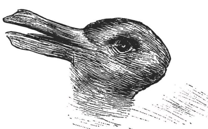 鸭兔图的哲学家是谁图片