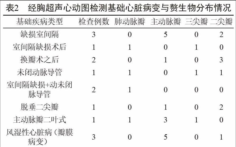 内膜炎患者20例作为研究对象,均接受外科手术治疗手段,通过胸超声心动