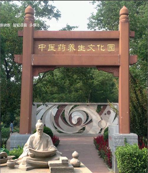 中医药养生旅游图片