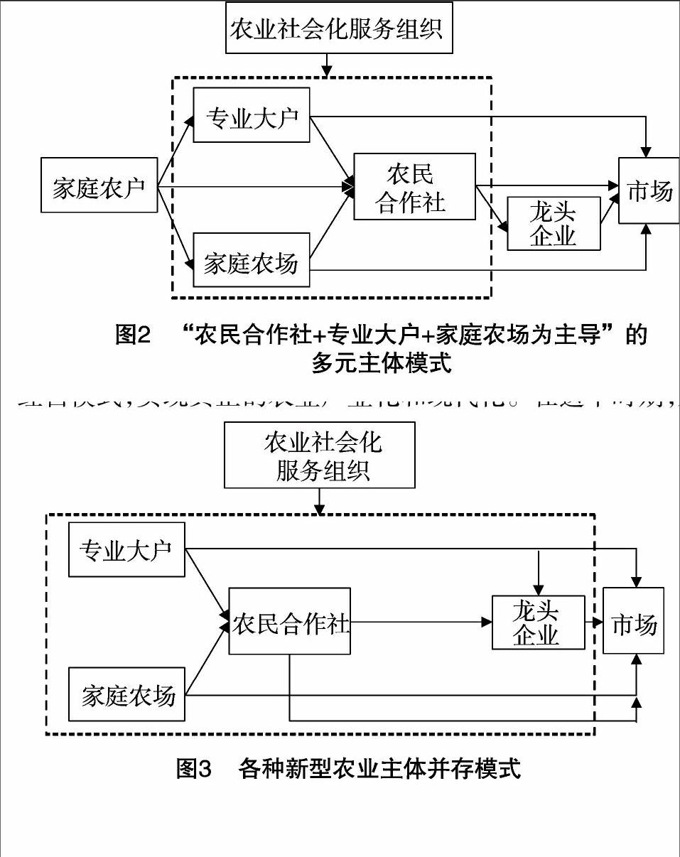 我国新型农业经营主体特点分析与发展演进宝斯琴塔娜