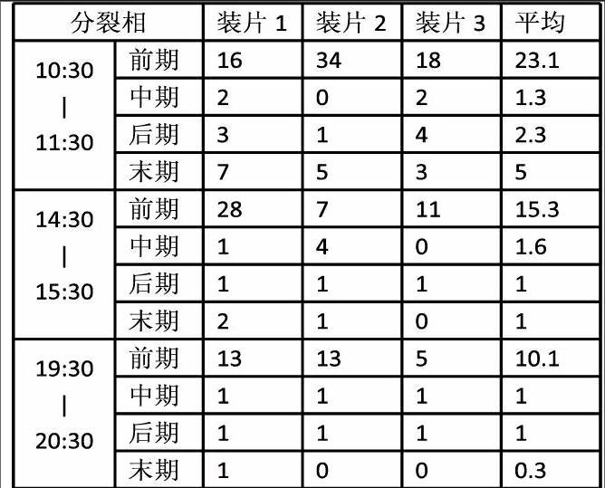 探究不同材料观察植物细胞有丝分裂的适宜取材时间 参考网