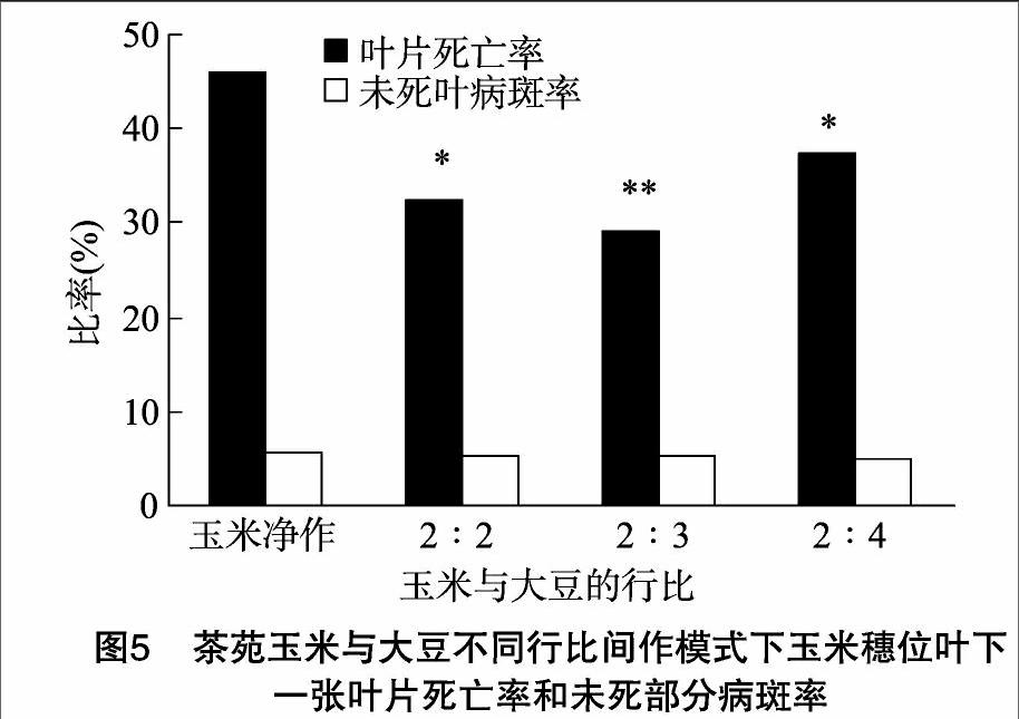 油菜花粉治疗前列腺炎研究_油菜花粉前列腺炎案例_油菜花粉前列腺炎克星