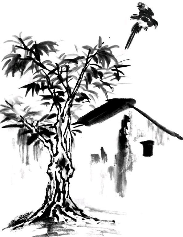 香椿树怎么画国画图片