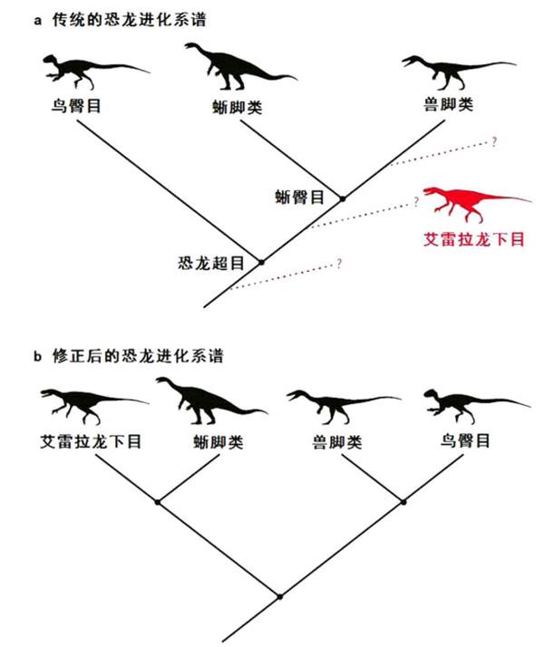 恐龙的演化过程简笔画图片
