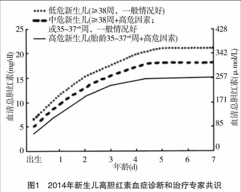 新生兒高膽紅素血癥311例臨床分析與報告