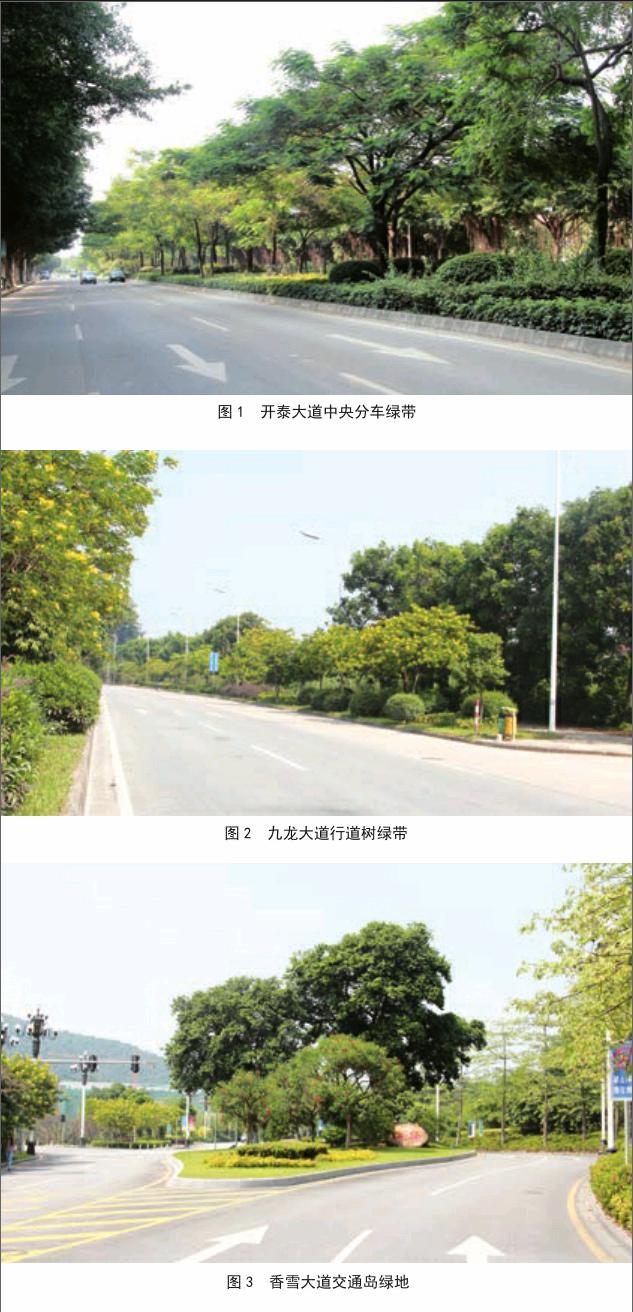 定位和市民審美水平的大幅度提升,城市道路植物景觀形式日趨豐富多樣