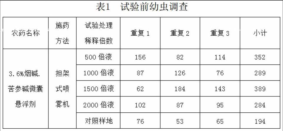 松扁叶蜂图片