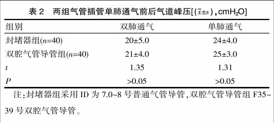 支氣管封堵器在胸科手術中的應用分析