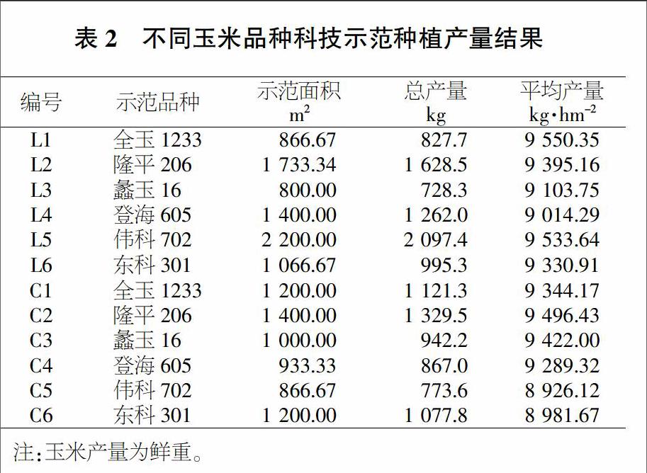 三系702玉米产量图片