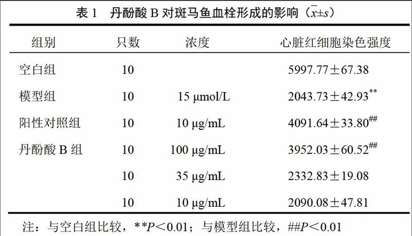 樊娇娇 乔艺涵 赵崇军 倪媛媛 杨冉 冯娅茹 马志强 林瑞超