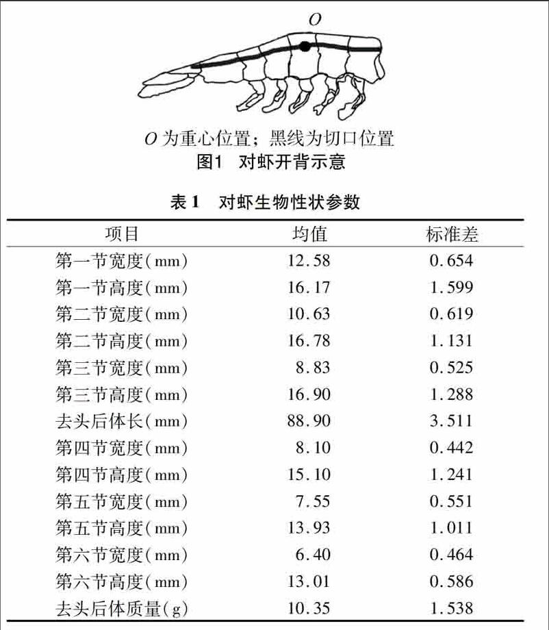 以环渤海的凡纳滨对虾为研究对象,以切口长度成功率,切口深度成功率和