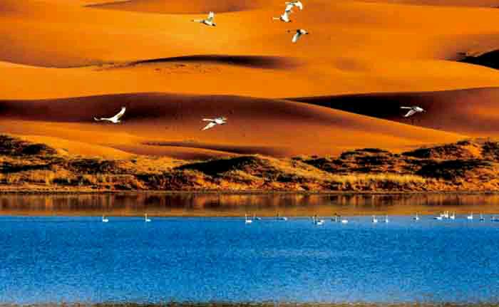 鄱阳湖天漠图片