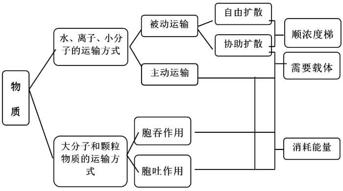 物质跨膜运输的方式