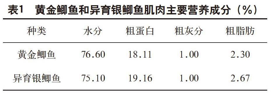 黄金鲫鱼与鲫鱼区别图片