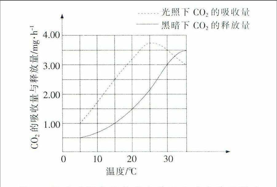 生物教学中重复错误现象的探析