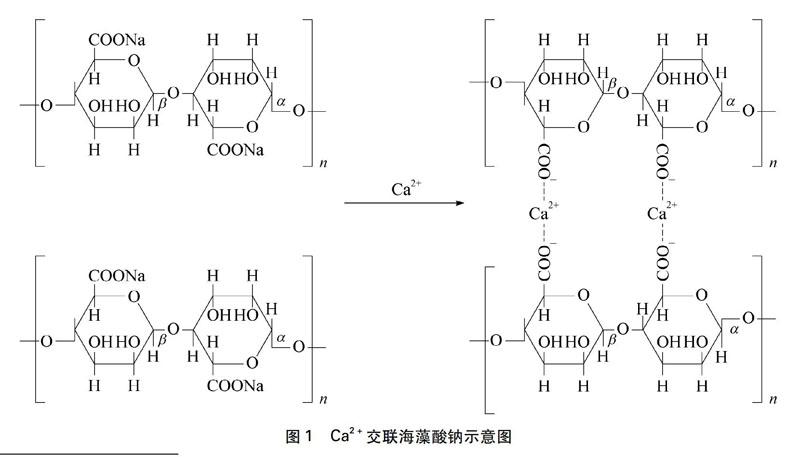 海藻酸钠固定化酶图片