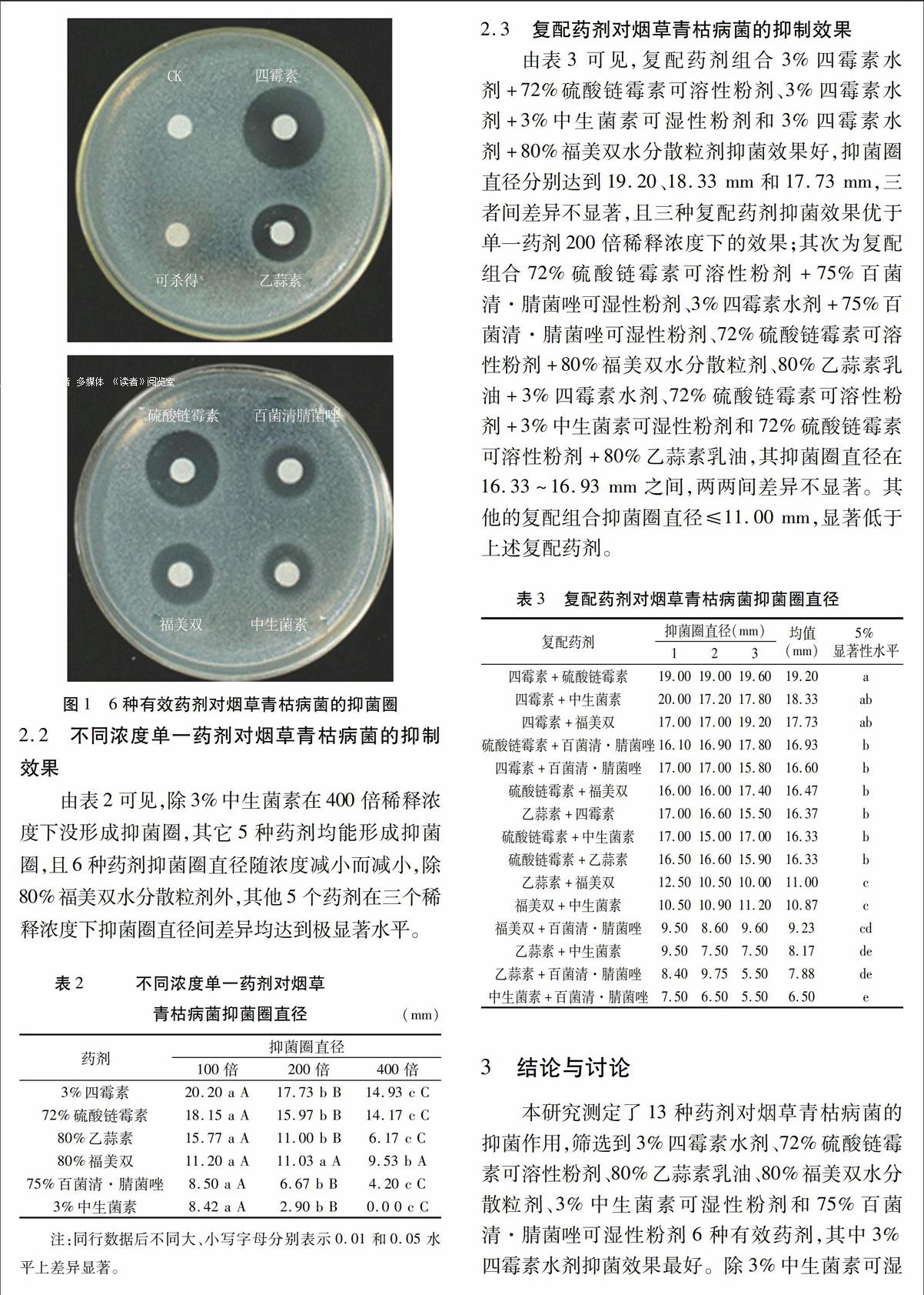 烟草青枯病菌图片