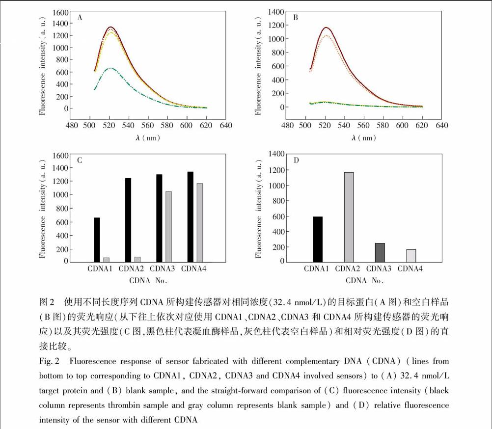 基於競爭觸發滾環擴增的熒光適配體傳感器高靈敏檢測凝血酶