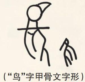 鸟和隹(zhuī)是一个意思,其甲骨文字形分别见左图
