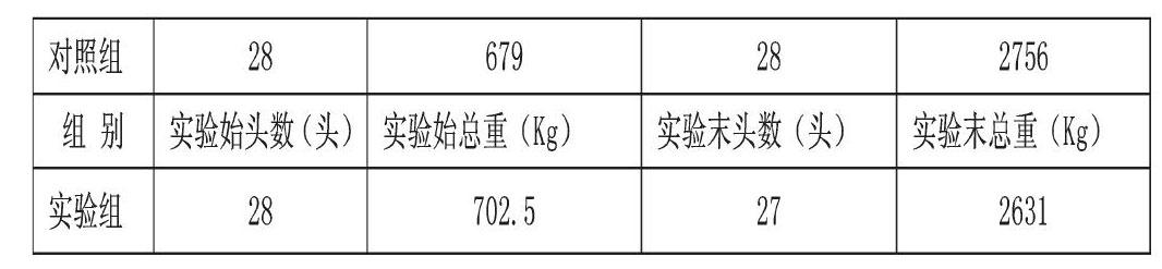 邢艳艳