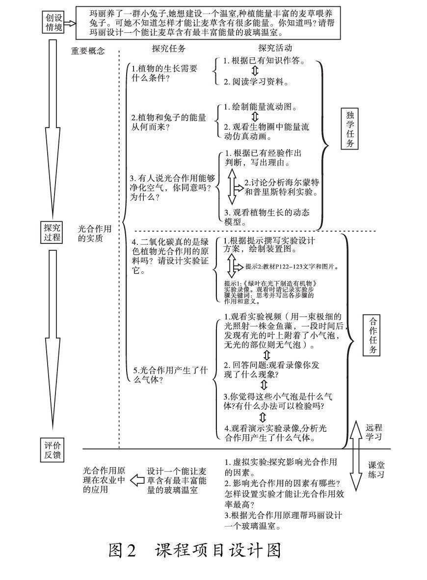 利用wise 光合作用 项目促进初中生物学实验教学创新 参考网