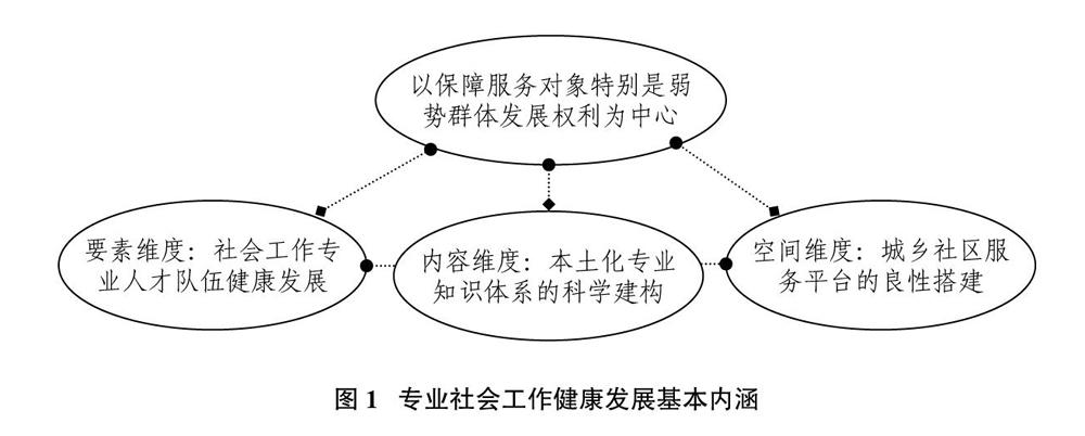 新时代背景下我国专业社会工作健康发展的基本内涵与推进路径