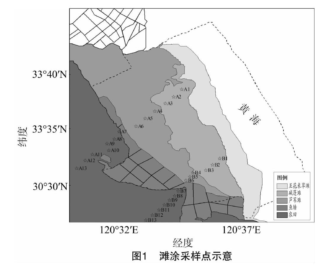 滩涂平面图片