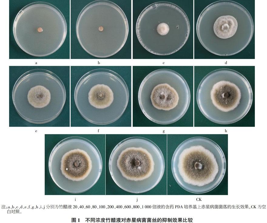 竹醋液制剂对烟草赤星病菌的抑制效果研究