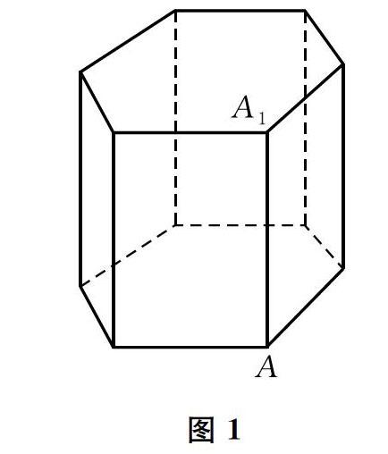 称底面为矩形而有一侧棱垂直于底面的四棱锥为阳马,设aai是正六棱柱的