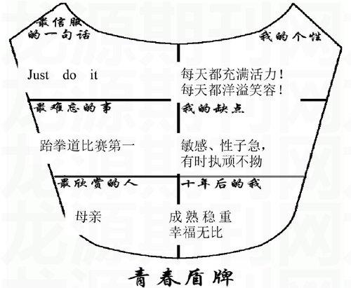 青春盾牌怎么写图片